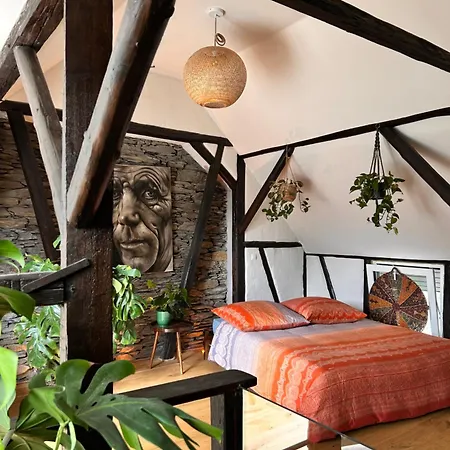 Gemuetliches Dachzimmer Mit Kamin アパート