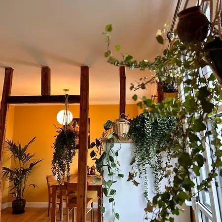 Gemuetliches Dachzimmer Mit Kamin アンダーナッハ